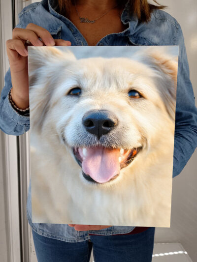 Pannello Leggero a Giorno con Foto Personalizzata – Disponibile in 20×30, 24×30, 30×40